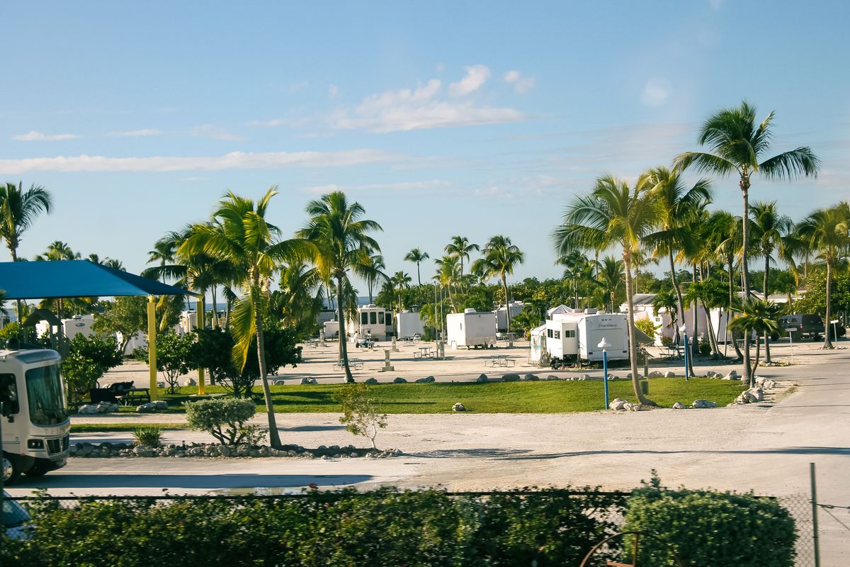 Palm-lined RV resort with trailers parked around a green landscaped common area