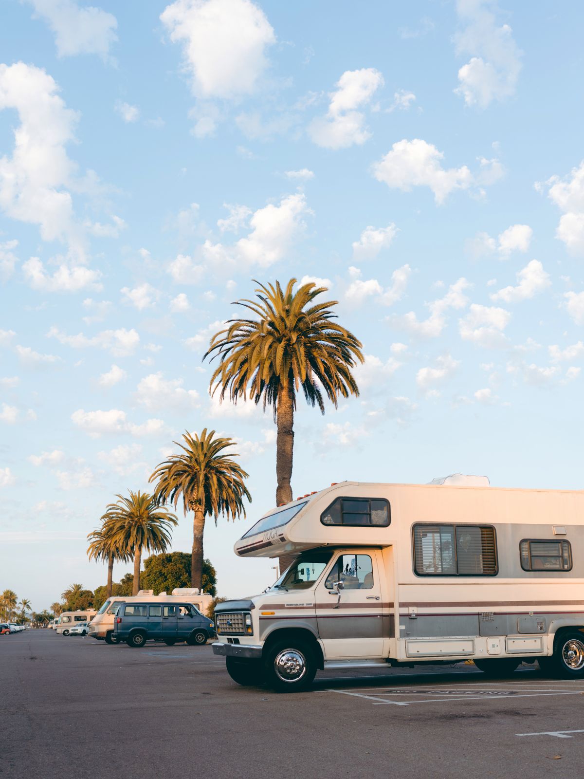 Motorhomes parked beneath tall palm trees on a sunny afternoon